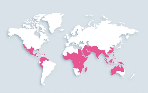 World map showing distribution