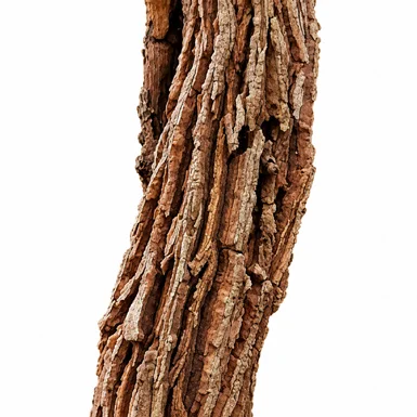 Anamirta cocculus bark