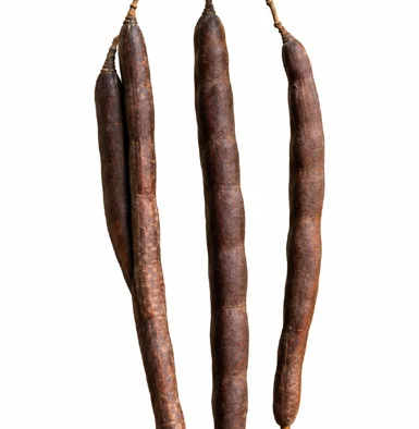 Cassia fistula fruit / seeds