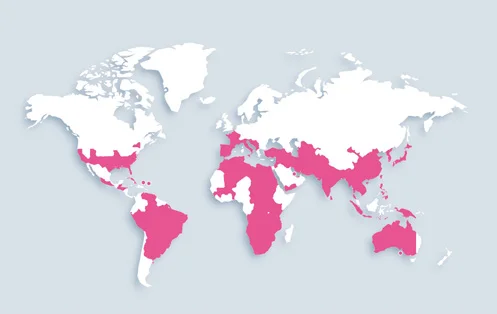 World map showing distribution