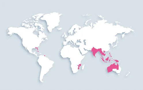 World map showing distribution