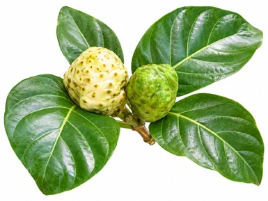 Morinda citrifolia fruit / seeds