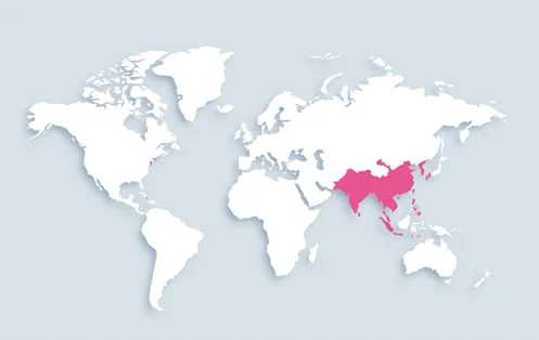 World map showing distribution