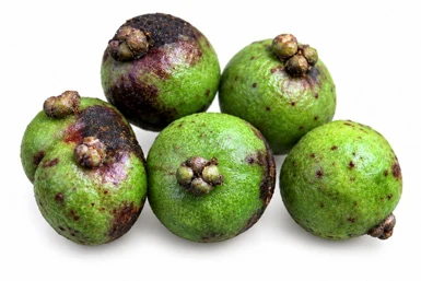 Pimenta dioica fruit / seeds