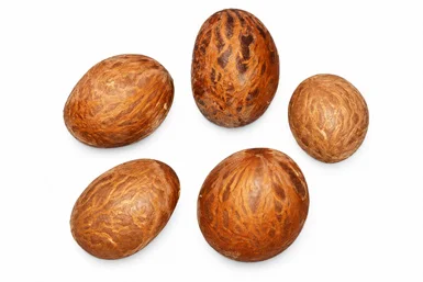 Salacia macrosperma fruit / seeds