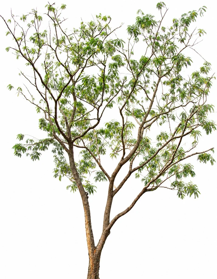 Agati