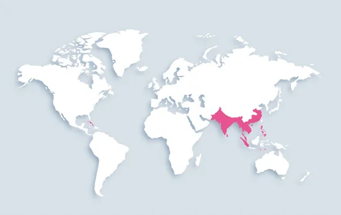 World map showing distribution