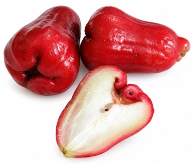 Syzygium samarangense fruit / seeds