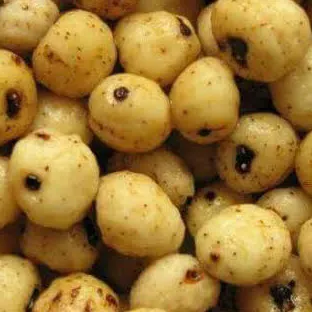 Thysanolaena latifolia fruit / seeds